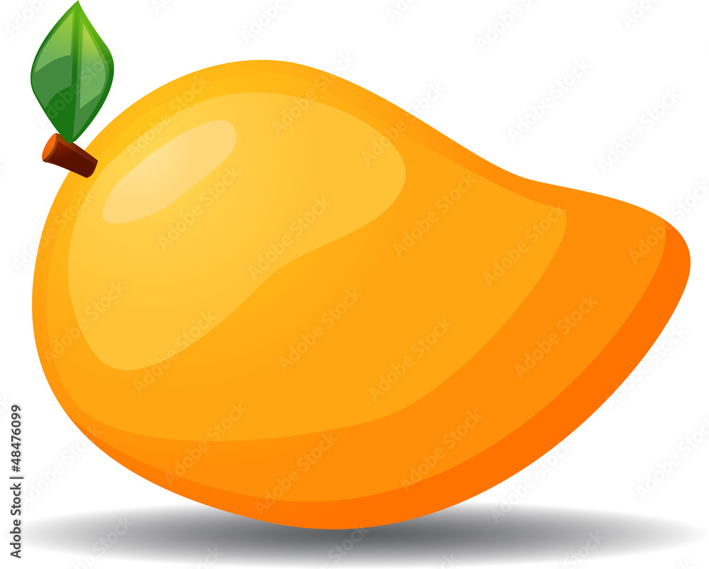 Mango vector illustration icon