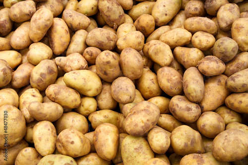 a lot of potatoes