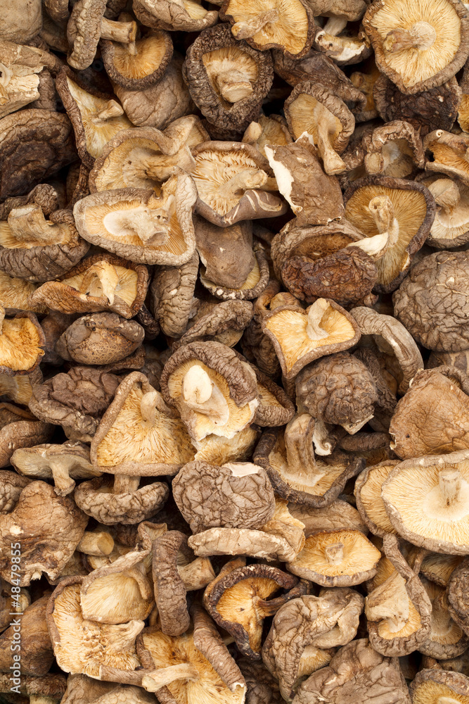 dry shitake mushroom dry shitake mushroom