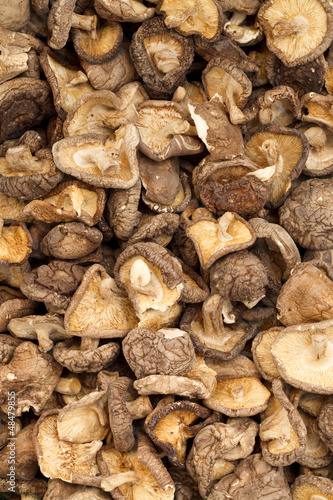 dry shitake mushroom