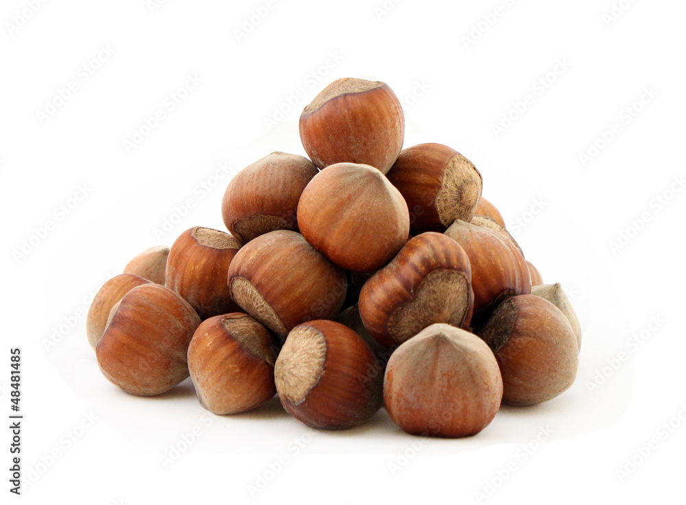 heap of hazel nuts isolated on white heap of hazel nuts isolated on white