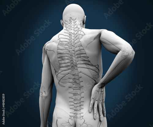 Fototapeta Naklejka Na Ścianę i Meble -  Skeleton having pain on his back