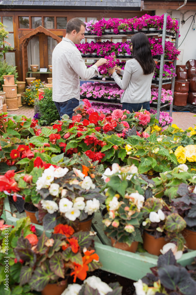 Couple choosing purple flowers Couple choosing purple flowers