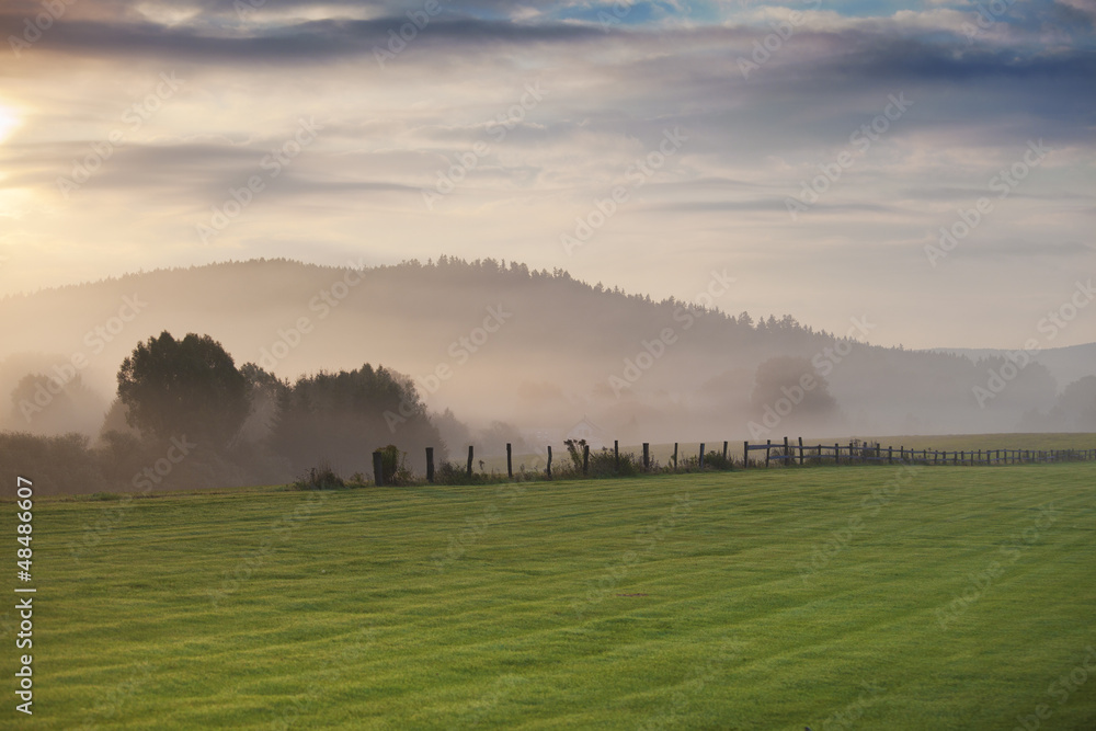 mist over green meadow with fence and silhouette of forest in ba