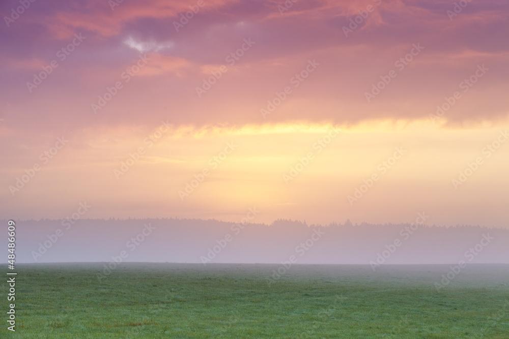 colorful magical foggy morning