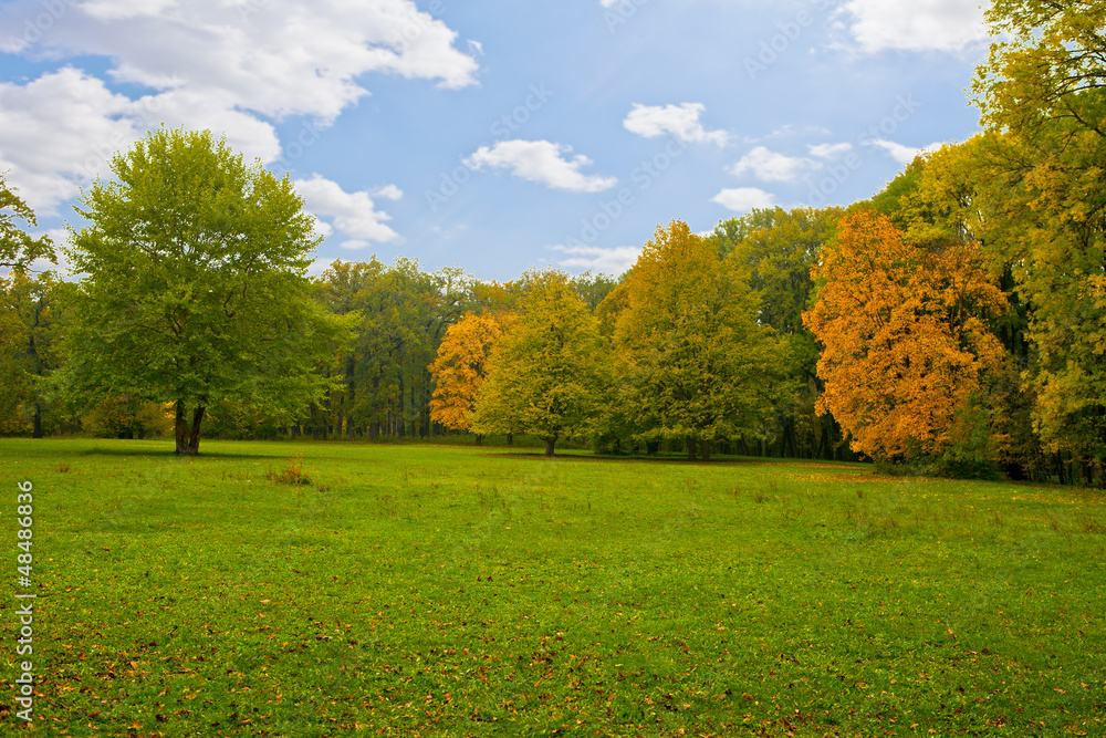 Foto park
