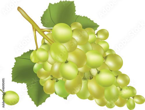Grapes