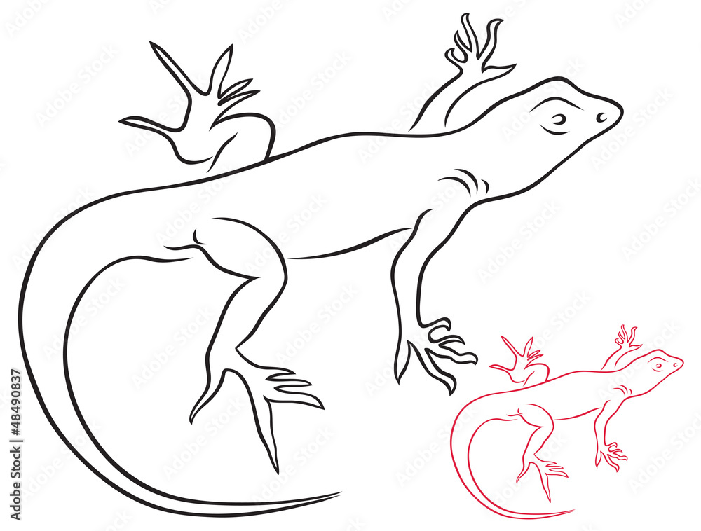 lizard lizard