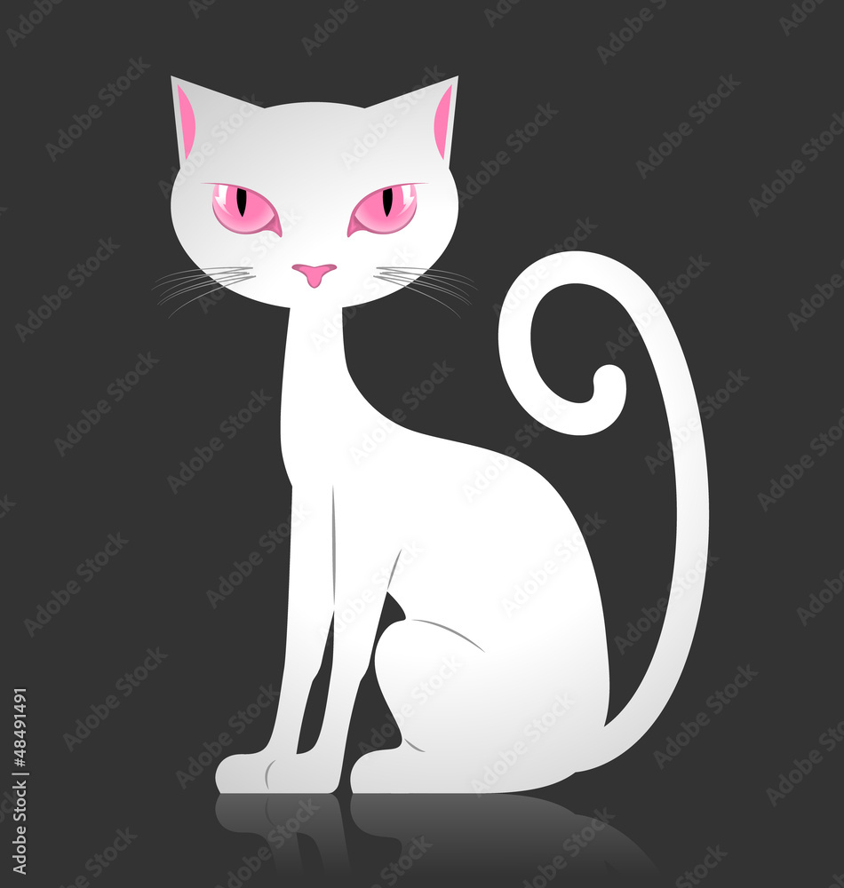 Obraz premium White cat