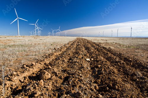Redish land landscape with windmills