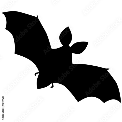 Fledermaus