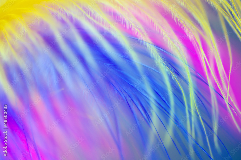 colored feathers abstract background colored feathers abstract background