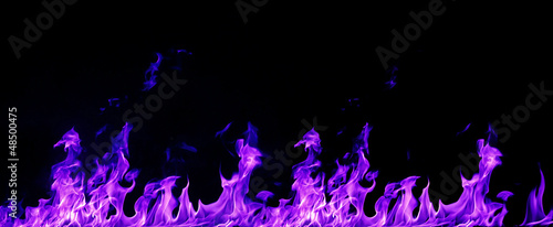 Flamme Purpur