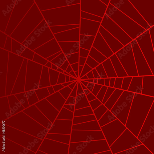 vector net