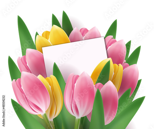 Fototapeta Naklejka Na Ścianę i Meble -  Tulips design template or background