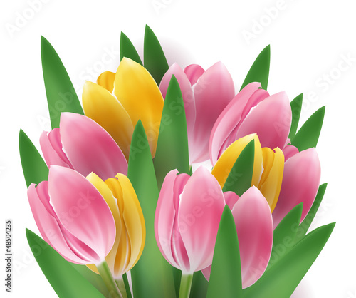 Tulip bouquet
