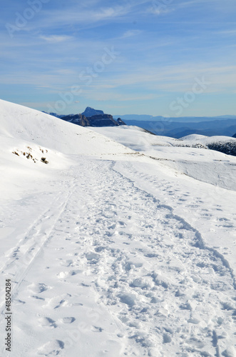 Camino nevado © scasti11