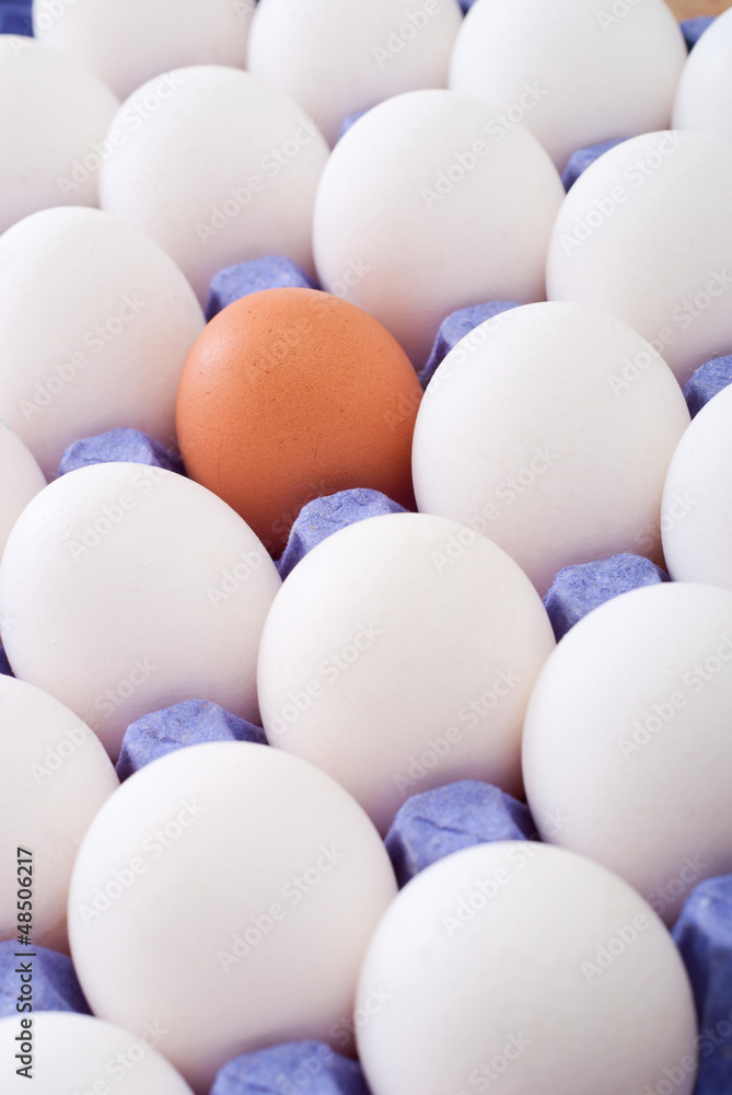 egg egg