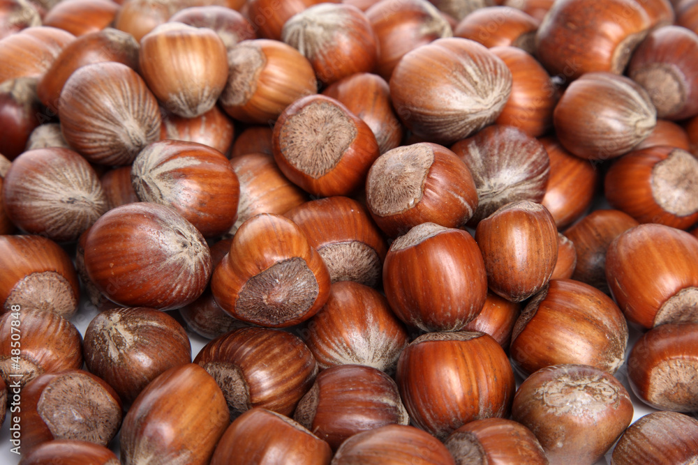 Hazelnut background Hazelnut background