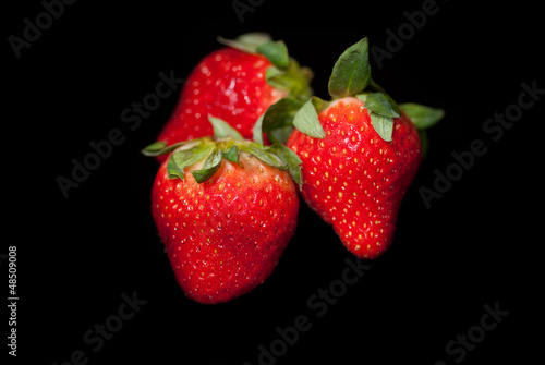 Strawberries on Black Background