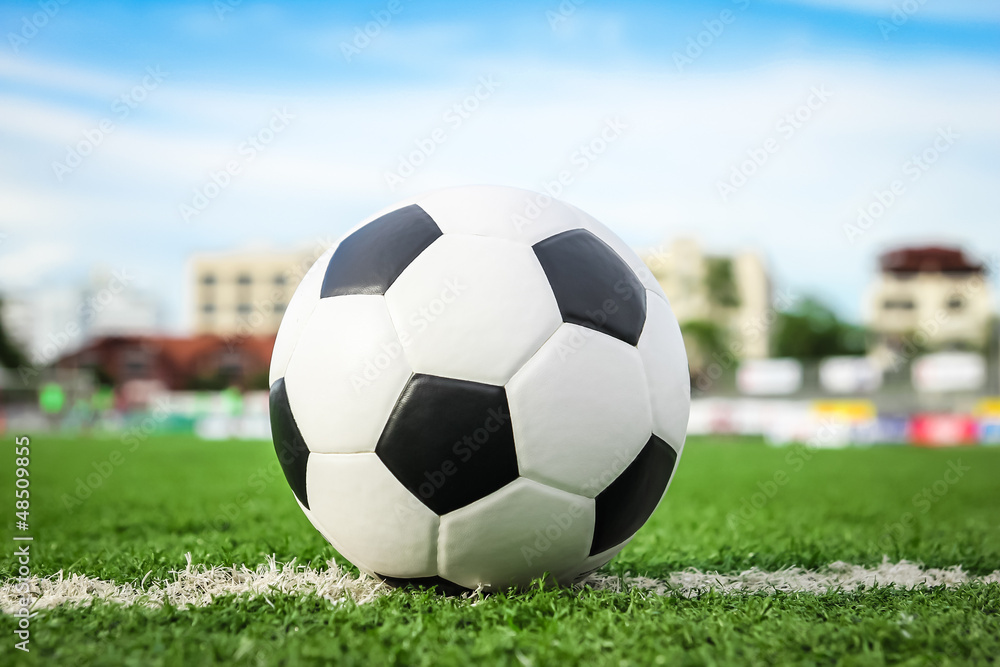 Fototapeta soccer ball on green grass