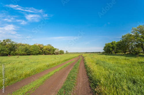 country road in summer field