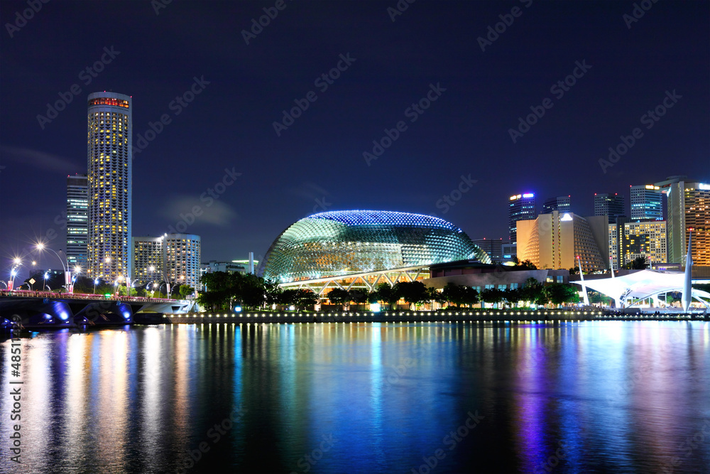 Singapore skyline night - obrazy, fototapety, plakaty 
