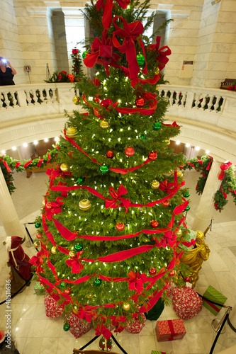 Capitol Rotunda Christmas Tree