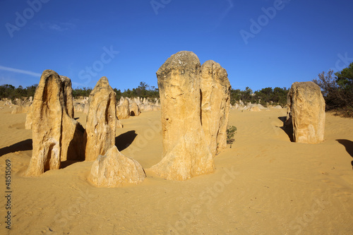 The Pinnacles. Western Australia