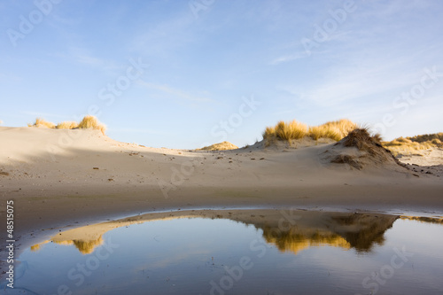 Dunes and beach grass reflected in fresh water pool