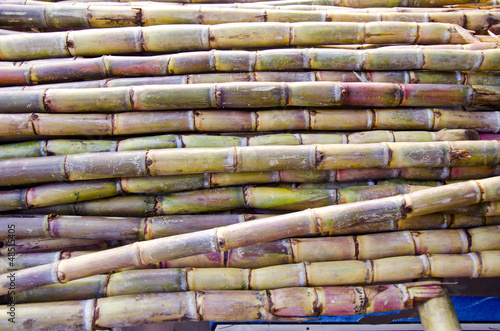 fresh sugarcane in Delhi bazaar, India