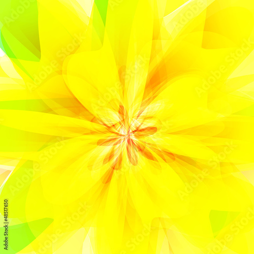 yellow flower background illustration