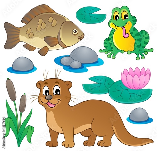 River fauna collection 1