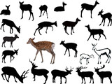 twenty one deers illustration