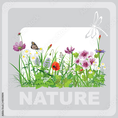 Green grass and flowers, landscape natural, banner in vector art