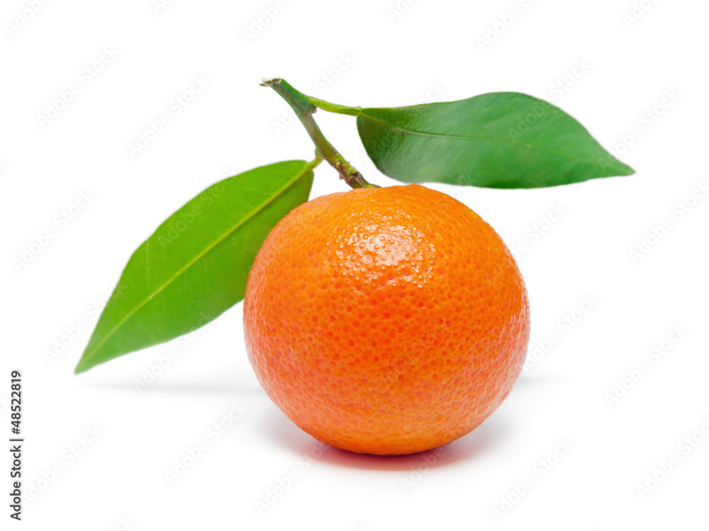 Mandarine Mandarine