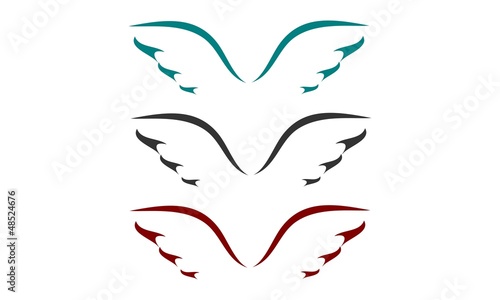 Logo ailes photo