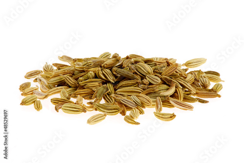 Detailaufnahme Fenchel freigestellt