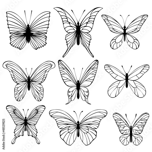 Set of butterflies isolated on white background. Vector © LYekaterina
