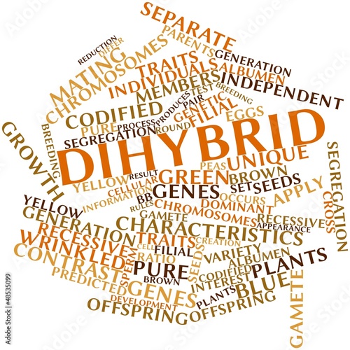 Word cloud for Dihybrid cross photo