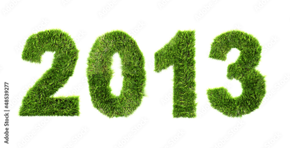 New year 2013 - ecology concept New year 2013 - ecology concept