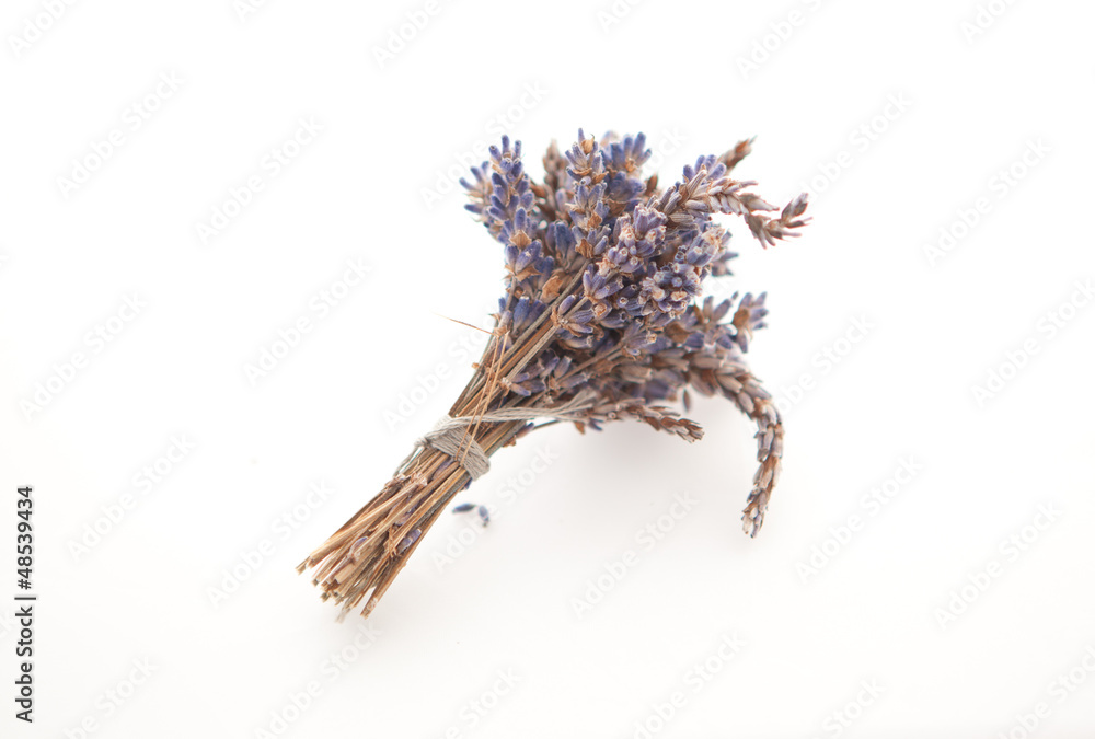 Naklejka premium Bunch of dried lavender on white