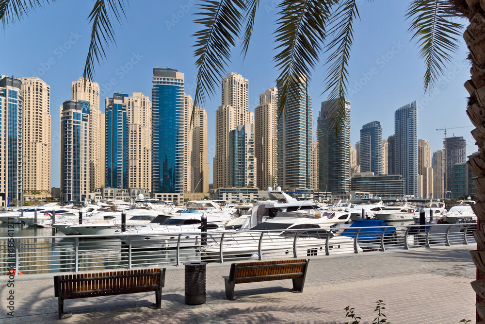 Fototapeta premium Dubai Marina with Palms