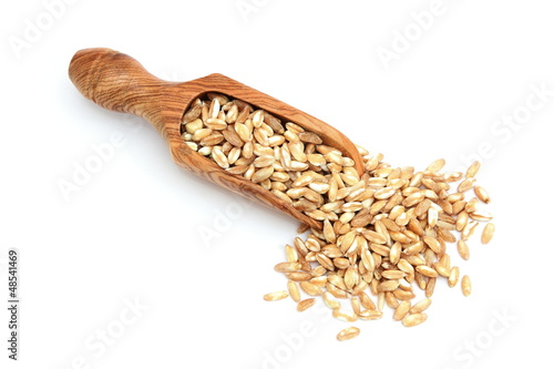 Farro - Spelt - Dinkel