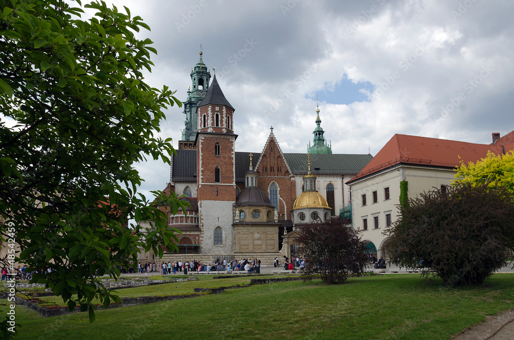 Cracovia Cattedrale di Wawel