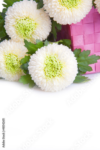 Strauss Studentenblumen und Sammetblumen photo