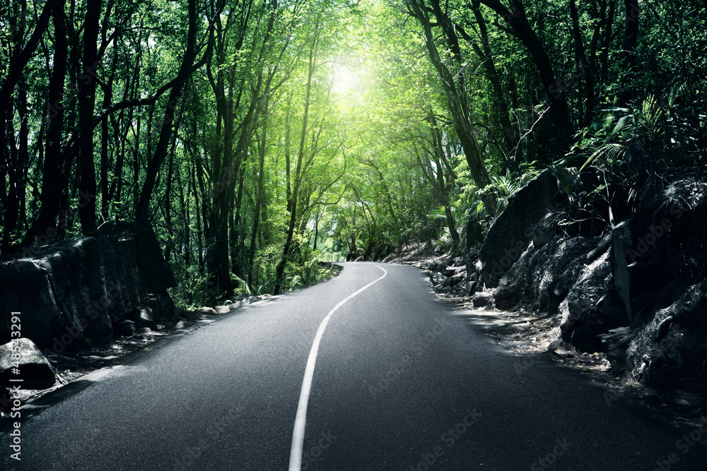 Obraz premium road in jungle