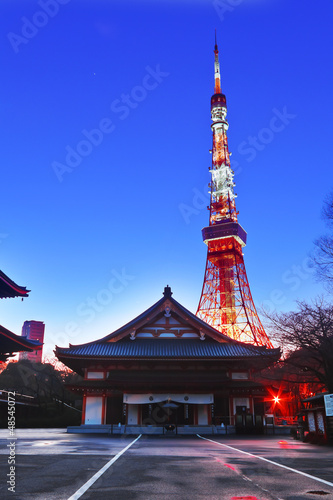 Canvas Print Tokyo Tower
