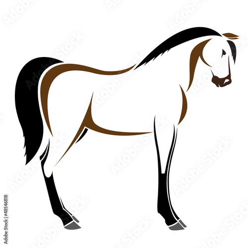 Vector image of an horse on white background