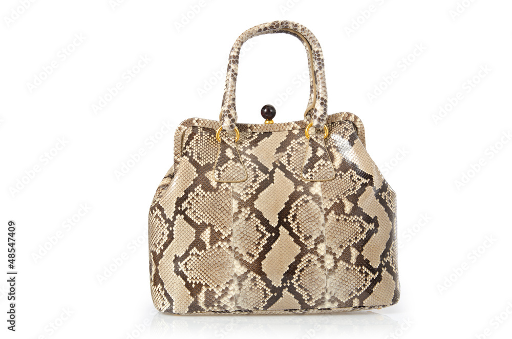 Nice elegant woman bag isolated on the white Nice elegant woman bag isolated on the white